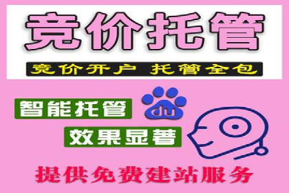 SEM竞价员实战案例：精准营销策略